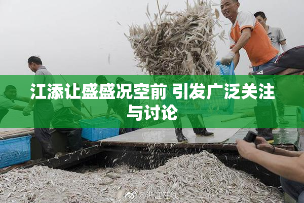 江添让盛盛况空前 引发广泛关注与讨论