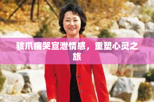 骇爪痛哭宣泄情感，重塑心灵之旅