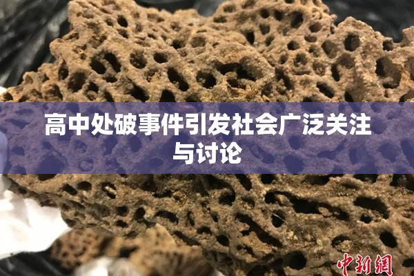 高中处破事件引发社会广泛关注与讨论