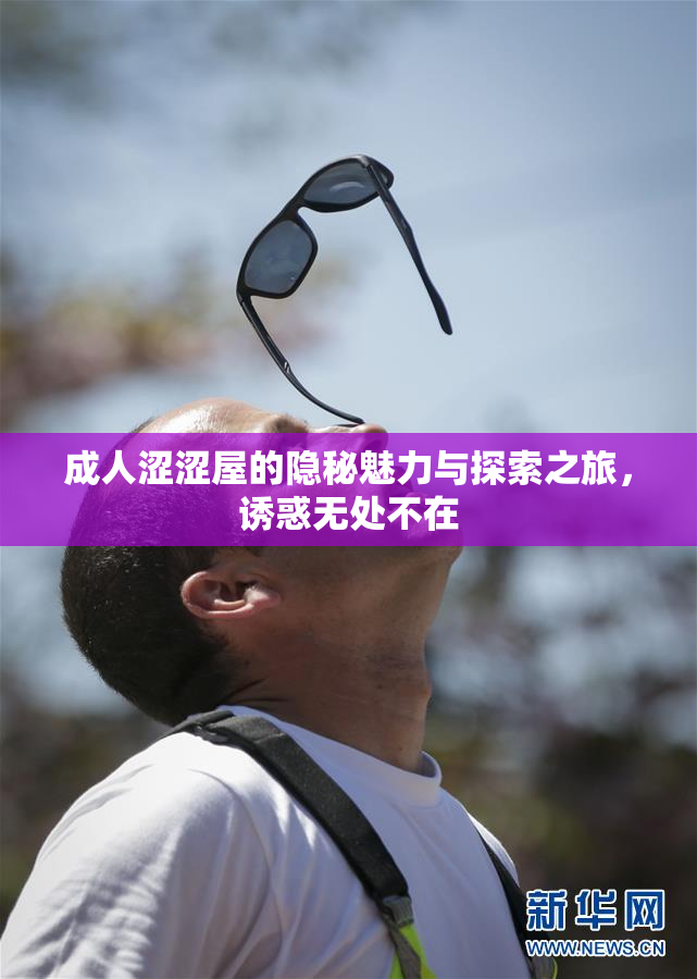成人涩涩屋的隐秘魅力与探索之旅，诱惑无处不在