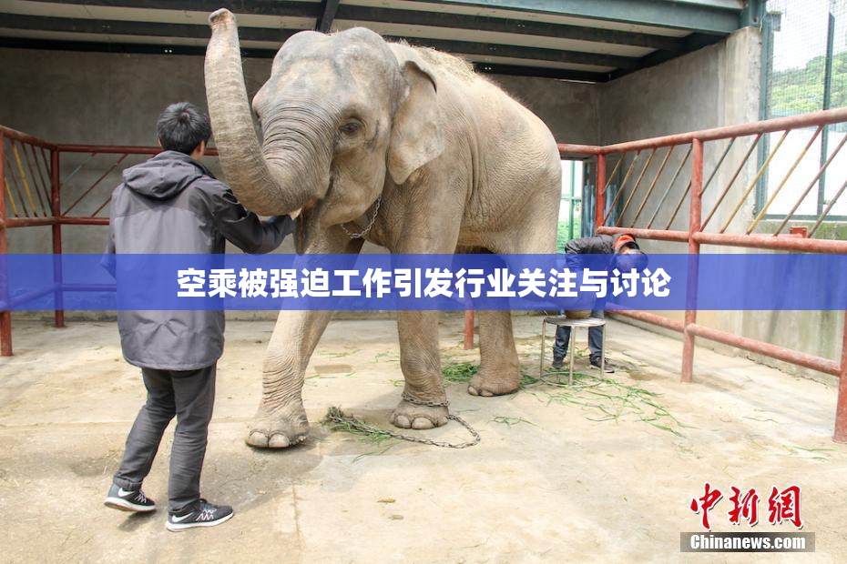 空乘被强迫工作引发行业关注与讨论