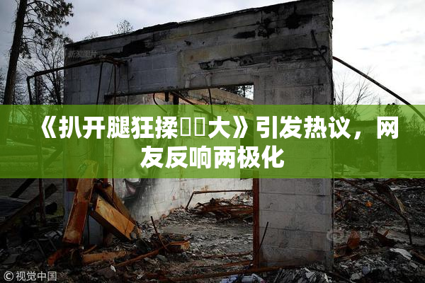 《扒开腿狂揉❌‌大》引发热议，网友反响两极化