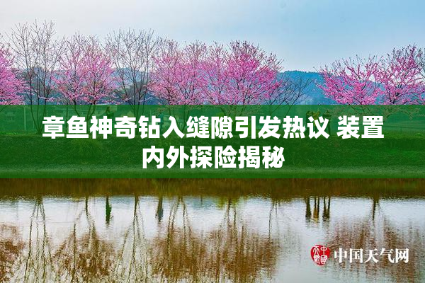 章鱼神奇钻入缝隙引发热议 装置内外探险揭秘