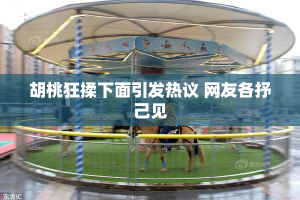 胡桃狂揉下面引发热议 网友各抒己见