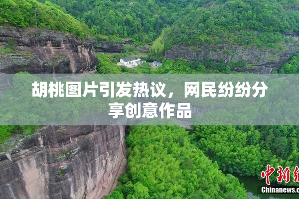 胡桃图片引发热议，网民纷纷分享创意作品