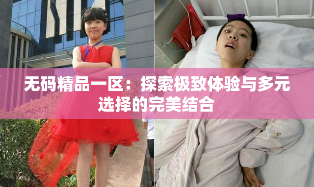 无码精品一区：探索极致体验与多元选择的完美结合