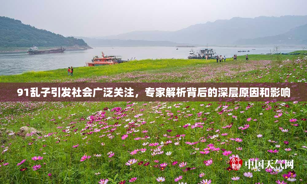 91乱子引发社会广泛关注，专家解析背后的深层原因和影响