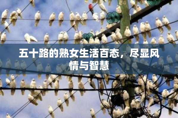 五十路的熟女生活百态，尽显风情与智慧