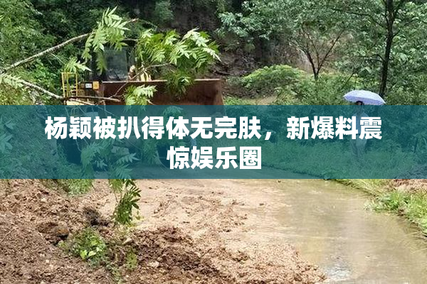 杨颖被扒得体无完肤，新爆料震惊娱乐圈