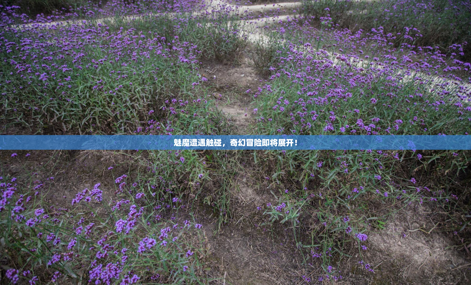 魅魔遭遇触碰，奇幻冒险即将展开！