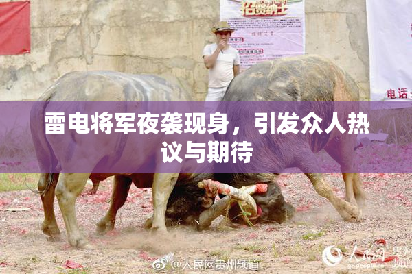 雷电将军夜袭现身，引发众人热议与期待