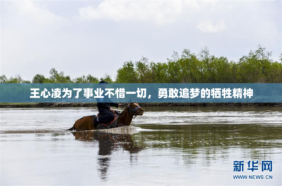 王心凌为了事业不惜一切，勇敢追梦的牺牲精神