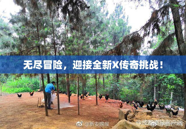 无尽冒险，迎接全新X传奇挑战！