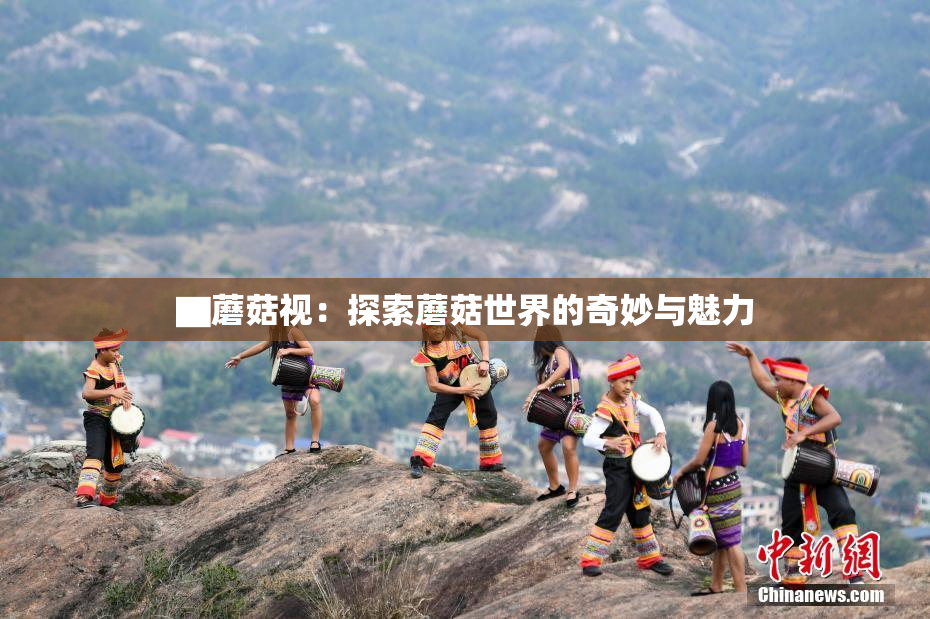▇蘑菇视：探索蘑菇世界的奇妙与魅力