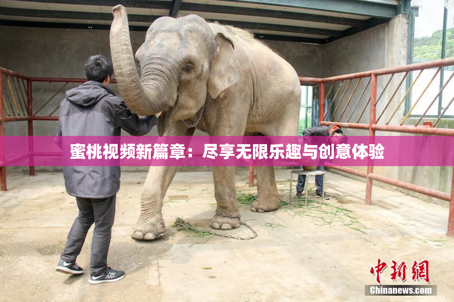 蜜桃视频新篇章：尽享无限乐趣与创意体验