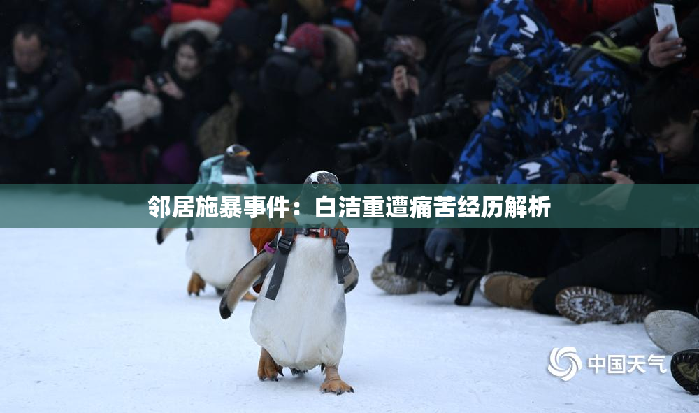 邻居施暴事件：白洁重遭痛苦经历解析