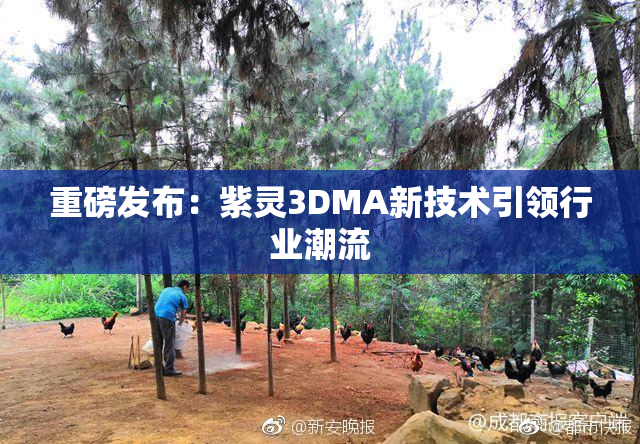 重磅发布：紫灵3DMA新技术引领行业潮流