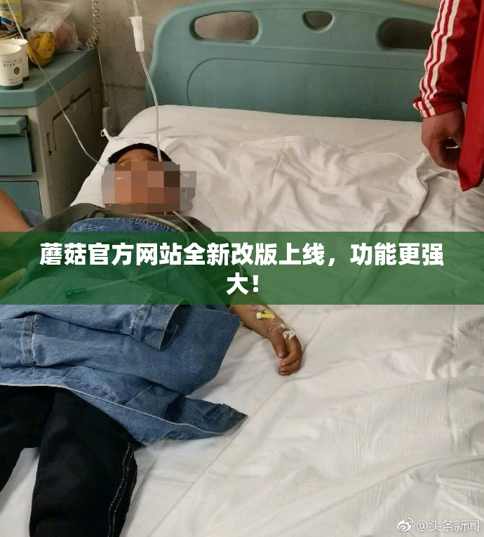 蘑菇官方网站全新改版上线，功能更强大！