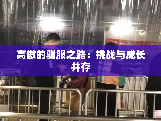 高傲的驯服之路：挑战与成长并存