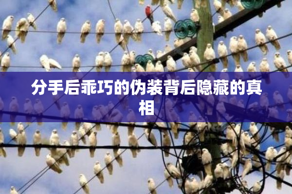分手后乖巧的伪装背后隐藏的真相