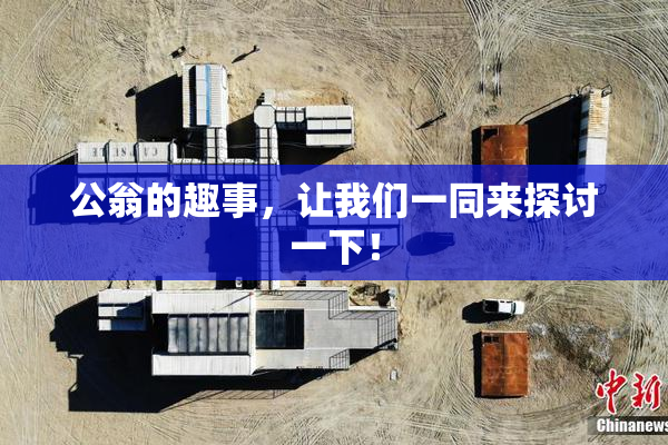 公翁的趣事，让我们一同来探讨一下！