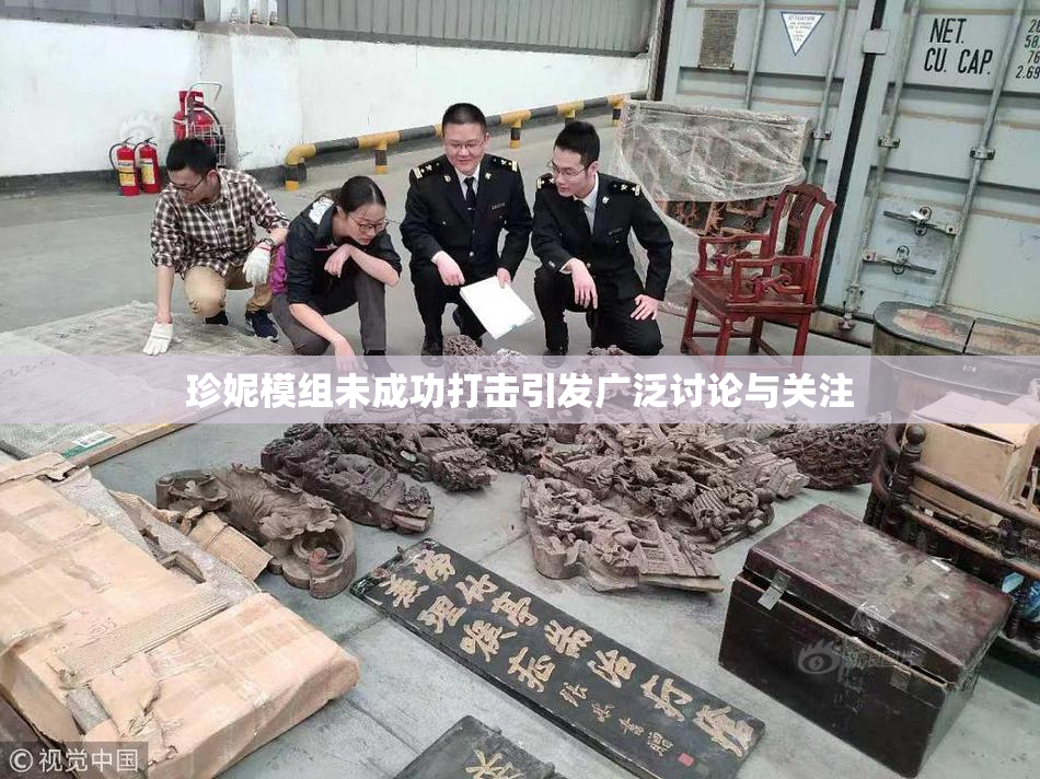 珍妮模组未成功打击引发广泛讨论与关注