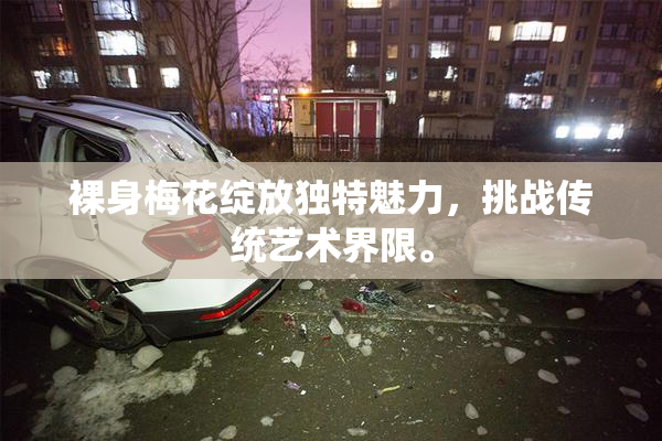 裸身梅花绽放独特魅力，挑战传统艺术界限。