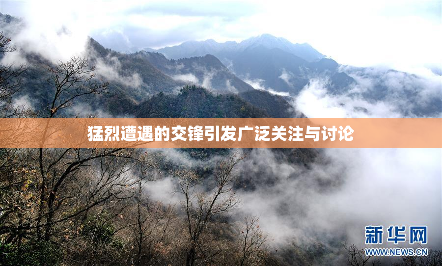 猛烈遭遇的交锋引发广泛关注与讨论