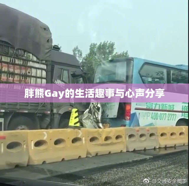 胖熊Gay的生活趣事与心声分享