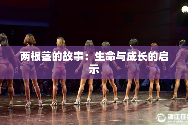 两根茎的故事：生命与成长的启示