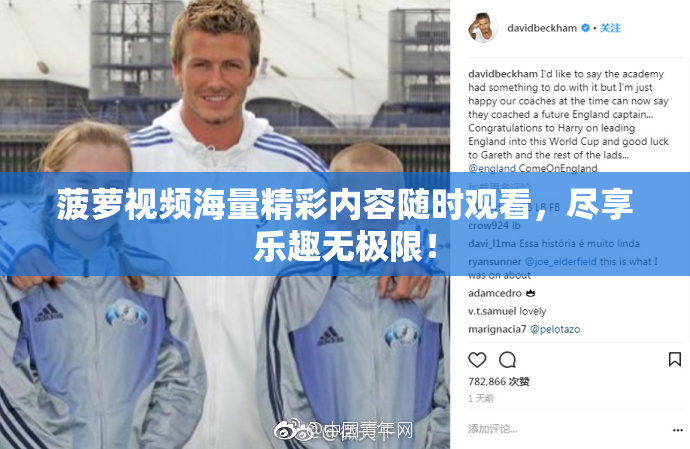 菠萝视频海量精彩内容随时观看，尽享乐趣无极限！