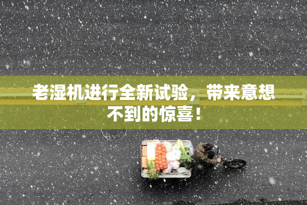老湿机进行全新试验，带来意想不到的惊喜！