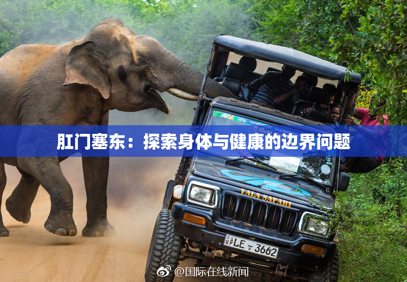 肛门塞东：探索身体与健康的边界问题