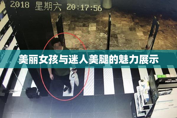 美丽女孩与迷人美腿的魅力展示