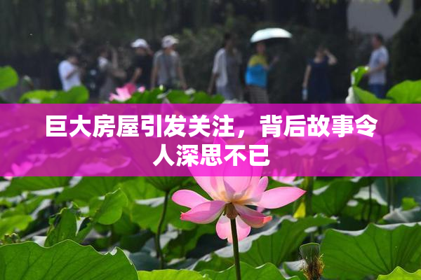 巨大房屋引发关注，背后故事令人深思不已