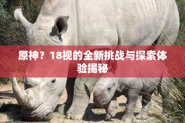原神？18视的全新挑战与探索体验揭秘