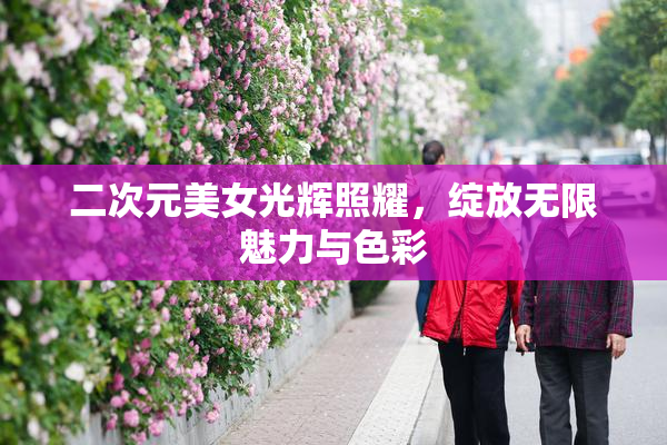 二次元美女光辉照耀，绽放无限魅力与色彩