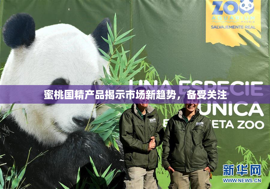 蜜桃国精产品揭示市场新趋势，备受关注