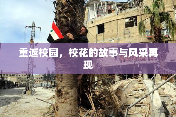重返校园，校花的故事与风采再现