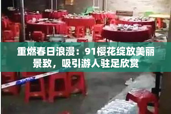 重燃春日浪漫：91樱花绽放美丽景致，吸引游人驻足欣赏