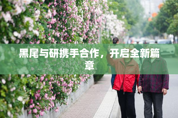 黑尾与研携手合作，开启全新篇章