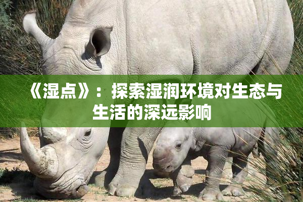 《湿点》：探索湿润环境对生态与生活的深远影响