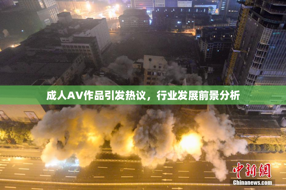 成人AV作品引发热议，行业发展前景分析