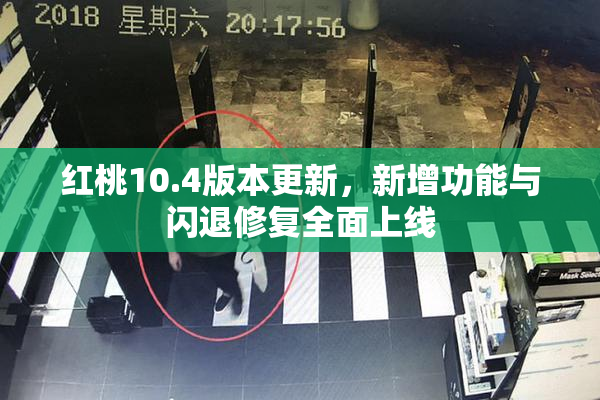 红桃10.4版本更新，新增功能与闪退修复全面上线