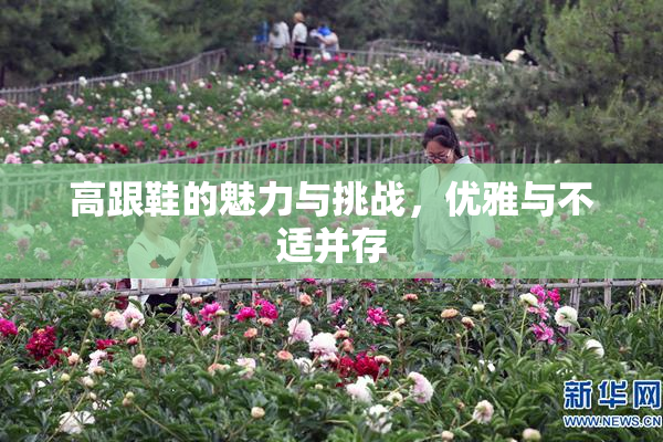 高跟鞋的魅力与挑战，优雅与不适并存