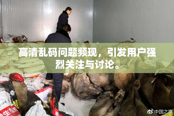 高清乱码问题频现，引发用户强烈关注与讨论。
