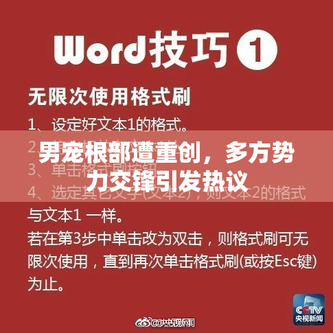 男宠根部遭重创，多方势力交锋引发热议