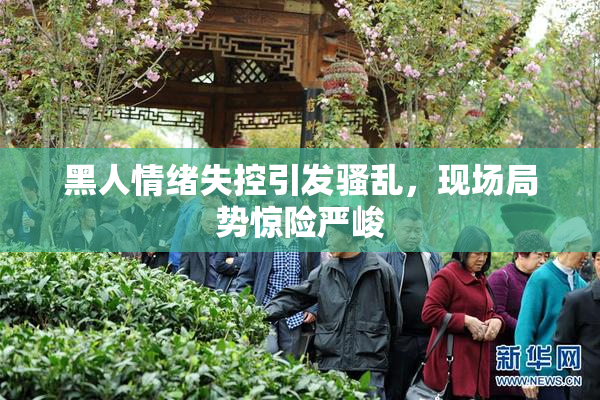 黑人情绪失控引发骚乱，现场局势惊险严峻