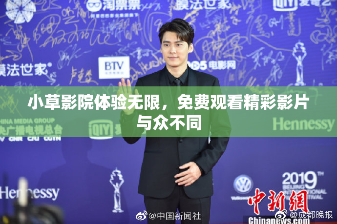 小草影院体验无限，免费观看精彩影片与众不同