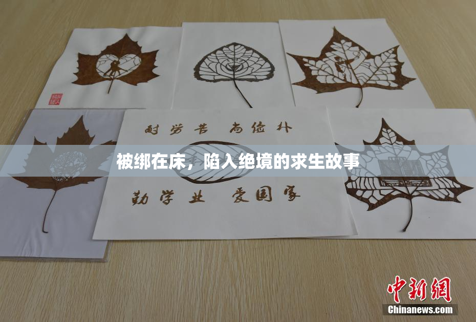被绑在床，陷入绝境的求生故事